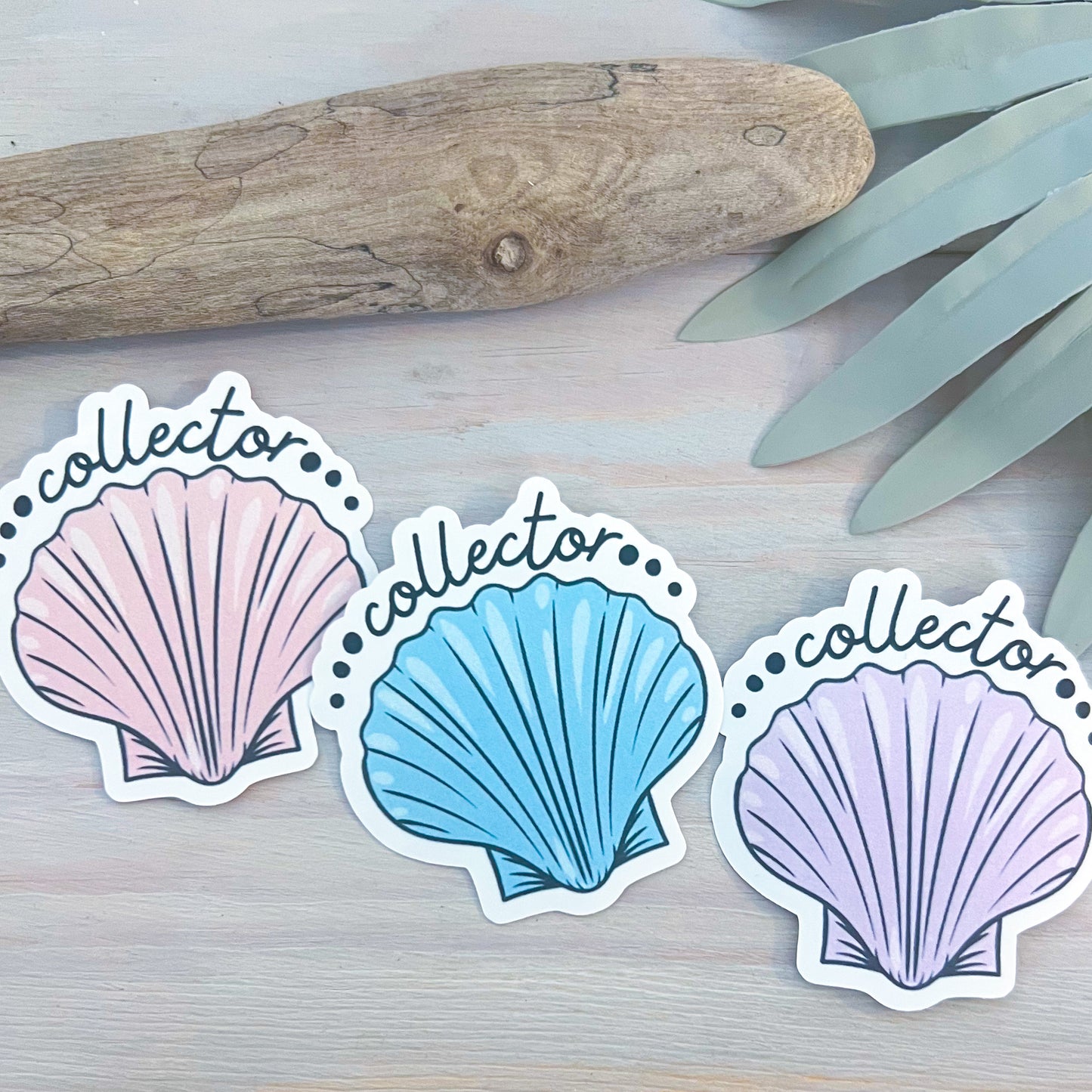 Seashell Collector Decal | Waterproof Vinyl Stickers
