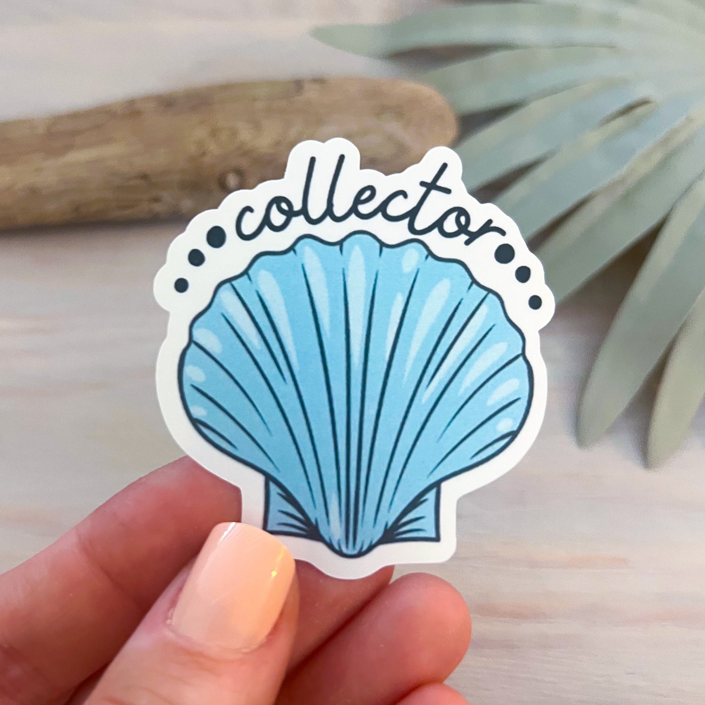 Seashell Collector Decal | Waterproof Vinyl Stickers