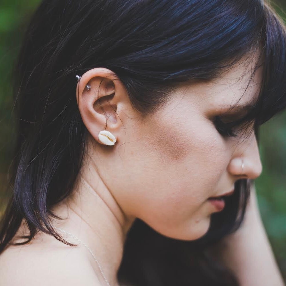 Cowrie Shell Stud Earrings