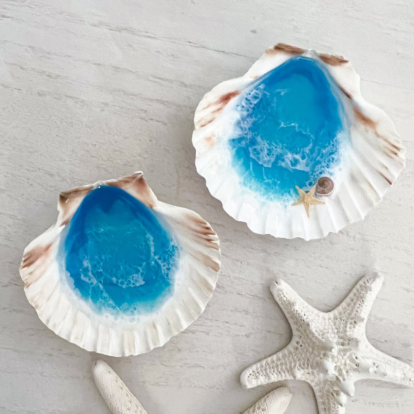 Real Seashell Scallop Shell Ring Bowl - Handmade Ocean Resin Art