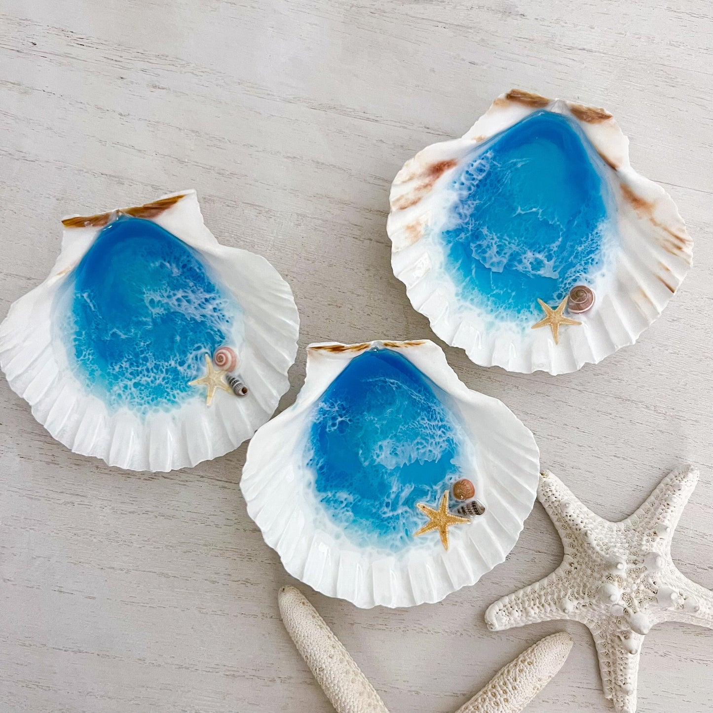 Real Seashell Scallop Shell Ring Bowl - Handmade Ocean Resin Art